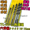 50對+原廠螺絲【TopDIY】W06 專利壁虎 6mm 膨脹螺絲 M6 塑膠壁虎 尼龍 鑽牆 牆面固定 DIY 工具